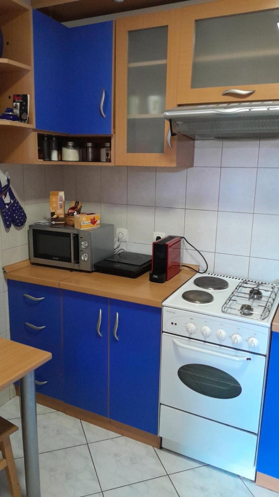 Apartment Plavi Airport